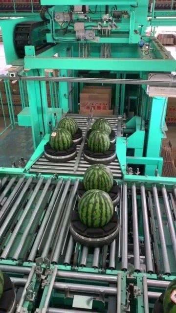 自动吃瓜机工作视频,智能瓜果处理新体验