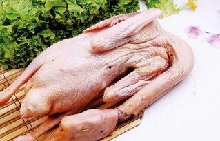 吃瓜鹅厂视频,一场娱乐与科技的跨界盛宴