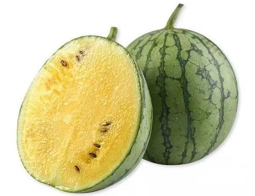 用板凳吃瓜视频,揭秘网络热传视频背后的趣味与思考