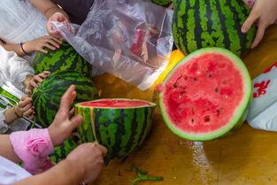 最省钱的吃瓜视频,视频教你最省钱吃瓜攻略