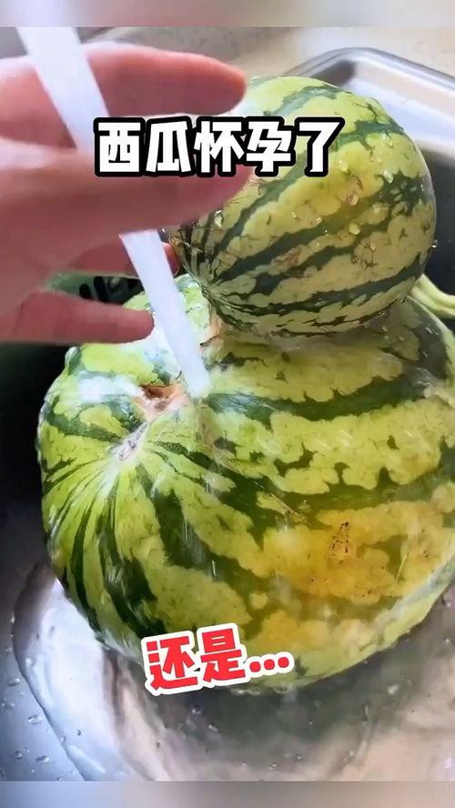 搞笑对话吃瓜视频,笑料百出！搞笑对话吃瓜视频盘点