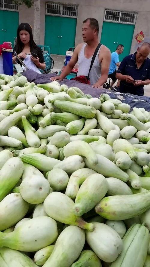 靠卖吃瓜视频赚钱吗,揭秘网络时代的新型赚钱方式