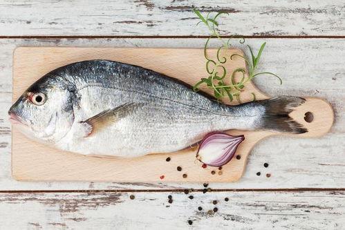 买鱼吃瓜的视频大全,趣味视频大全，轻松一笑尽在其中