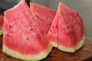 吃石头瓜视频大全集,趣味盎然的生活瞬间集锦