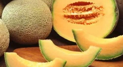 广州人吃哈密瓜多吗视频