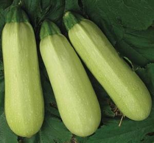 介休最新吃瓜视频,揭秘当地热点事件背后的真相