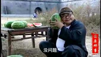 张家川吃瓜事件视频最新