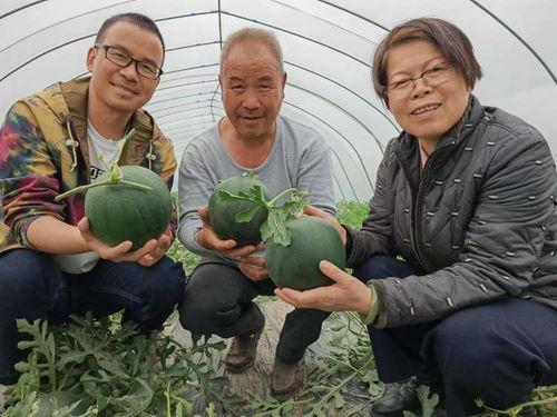 长峙岛吃瓜事件视频,一场网络热议的真相揭秘