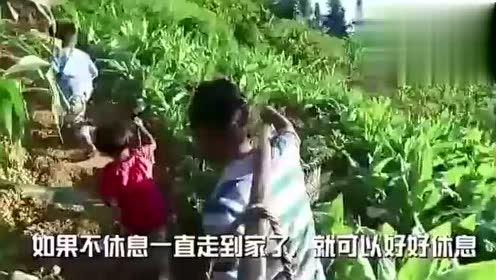 彬州吃瓜事件视频最新