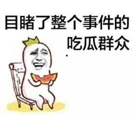 吃瓜群众的玩具视频,吃瓜群众眼中的趣味世界