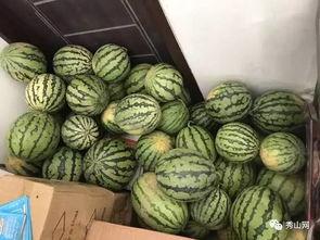 最近藏族吃瓜视频,揭秘高原美食文化新风尚