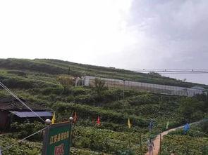 山洪爆发吃瓜群众视频大全