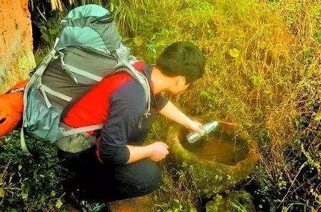 吃瓜视频野外生存