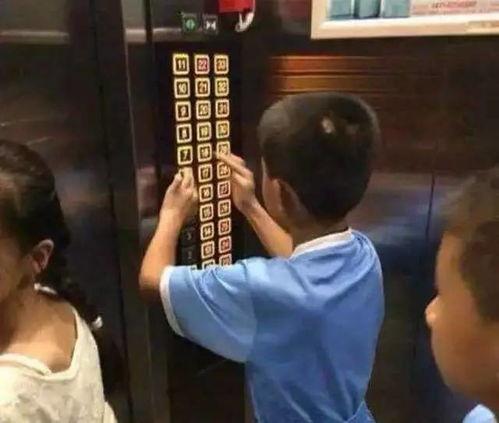 吃瓜群众小朋哥视频播放,揭秘热门事件背后的真相